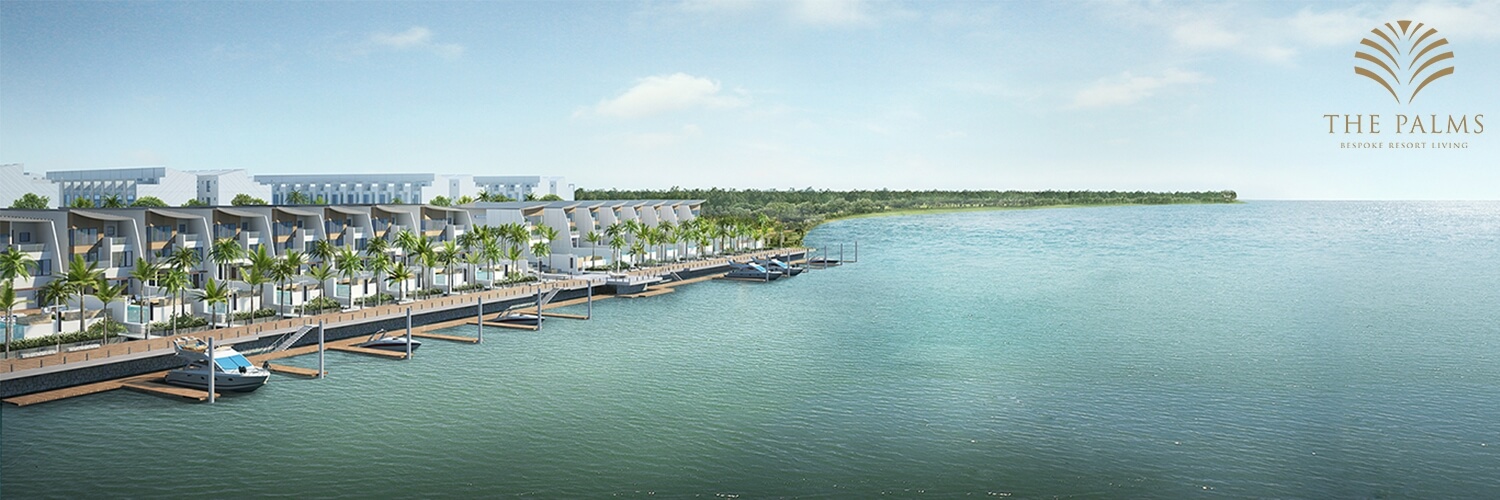 The Palm